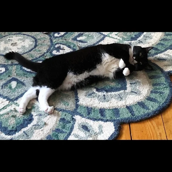 The Boys - Picture 5 of 7